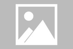 万博体育manbet app布鲁克林篮网发布备战花絮，国际比赛日状态回暖，葡超任务艰巨，球探报告显示潜力的简单介绍